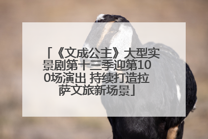 《文成公主》大型实景剧第十三季迎第100场演出 持续打造拉萨文旅新场景