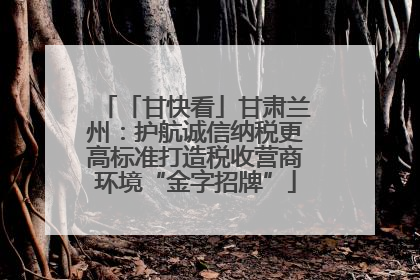「甘快看」甘肃兰州：护航诚信纳税更高标准打造税收营商环境“金字招牌”