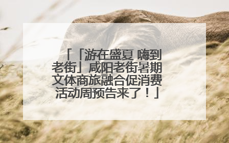 「游在盛夏 嗨到老街」咸阳老街暑期文体商旅融合促消费活动周预告来了！