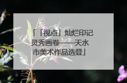 「视点」灿烂印记 灵秀画卷——天水市美术作品选登