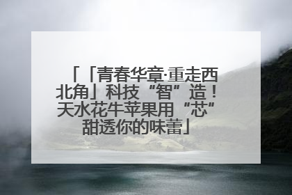 「青春华章·重走西北角」科技“智”造！天水花牛苹果用“芯”甜透你的味蕾