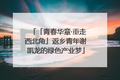 「青春华章·重走西北角」返乡青年谢凯龙的绿色产业梦
