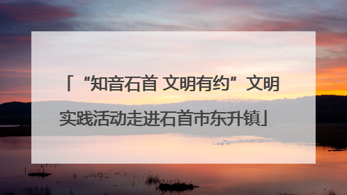 “知音石首 文明有约”文明实践活动走进石首市东升镇