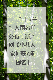 “白玉兰”入围名单公布，浙产剧《小巷人家》获7项提名