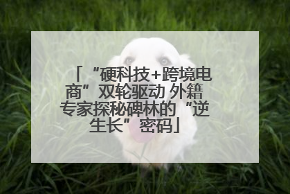 “硬科技+跨境电商”双轮驱动 外籍专家探秘碑林的“逆生长”密码