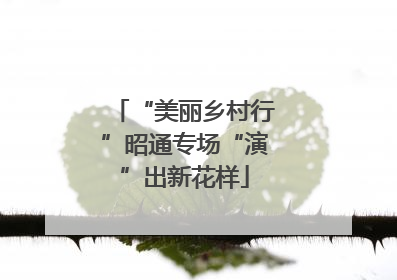 “美丽乡村行”昭通专场“演”出新花样