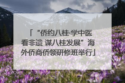“侨约八桂·学中医 看非遗 谋八桂发展”海外侨商侨领研修班举行
