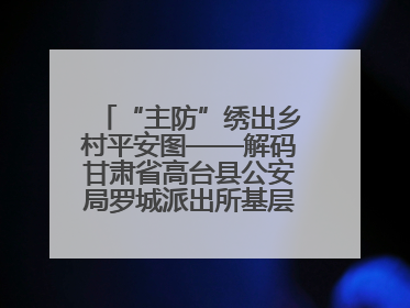 “主防”绣出乡村平安图——解码甘肃省高台县公安局罗城派出所基层治理新实践