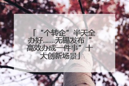“个转企”半天全办好……无锡发布“高效办成一件事”十大创新场景