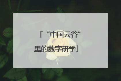 “中国云谷”里的数字研学