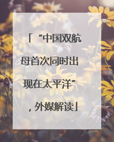 “中国双航母首次同时出现在太平洋”,外媒解读