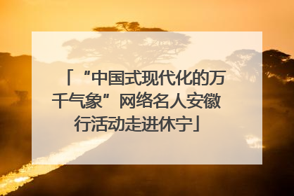 “中国式现代化的万千气象”网络名人安徽行活动走进休宁