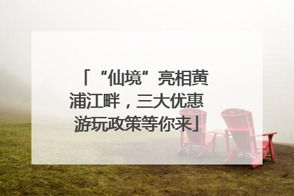 “仙境”亮相黄浦江畔，三大优惠游玩政策等你来