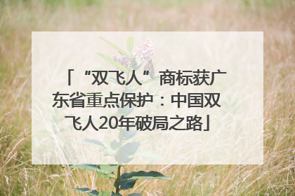 “双飞人”商标获广东省重点保护：中国双飞人20年破局之路