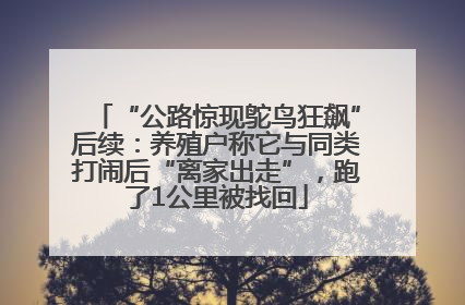 “公路惊现鸵鸟狂飙”后续：养殖户称它与同类打闹后“离家出走”，跑了1公里被找回