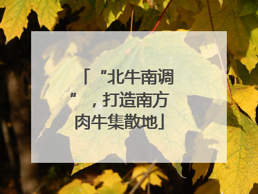 “北牛南调”，打造南方肉牛集散地