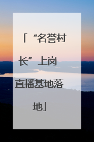 “名誉村长”上岗 直播基地落地