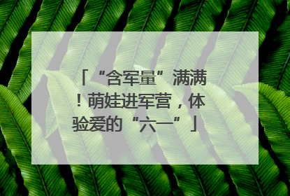 “含军量”满满！萌娃进军营，体验爱的“六一”
