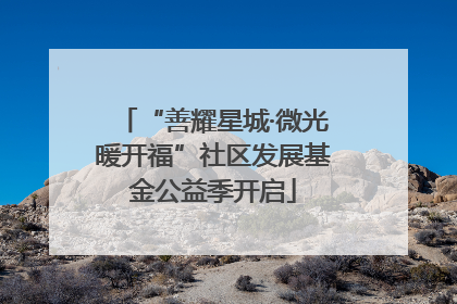 “善耀星城·微光暖开福”社区发展基金公益季开启