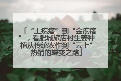 “土疙瘩”到“金疙瘩”，看肥城旅店村生姜种植从传统农作到“云上”热销的蝶变之路