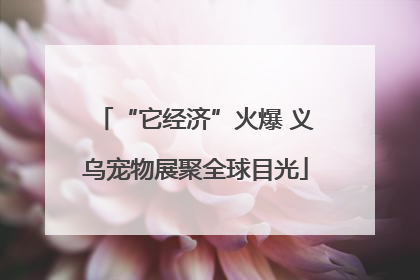 “它经济”火爆 义乌宠物展聚全球目光