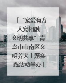 “宠爱有方 人宠相融 文明共享”青岛市市南区文明养犬主题实践活动举办