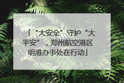 “大安全”守护“大平安”，郑州航空港区明港办事处在行动