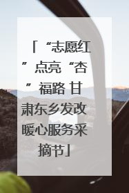 “志愿红”点亮“杏”福路 甘肃东乡发改暖心服务采摘节