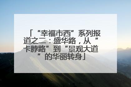 “幸福市西”系列报道之二：盛华路，从“卡脖路”到“景观大道”的华丽转身