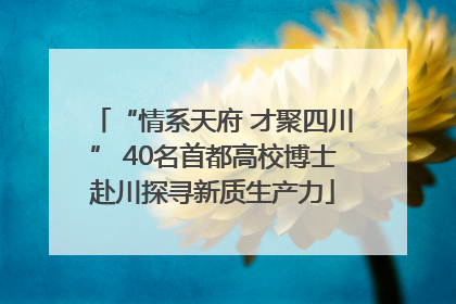“情系天府 才聚四川” 40名首都高校博士赴川探寻新质生产力