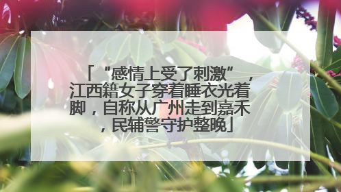 “感情上受了刺激”，江西籍女子穿着睡衣光着脚，自称从广州走到嘉禾，民辅警守护整晚