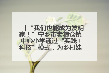 “我们也能成为发明家！”宁乡市老粮仓镇中心小学通过“实践+科技”模式，为乡村娃探索教育新路径