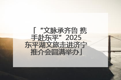 “文脉承齐鲁 携手赴东平”2025东平湖文旅走进济宁推介会圆满举办