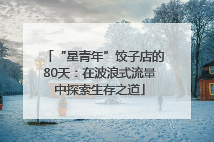 “星青年”饺子店的80天：在波浪式流量中探索生存之道