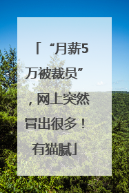“月薪5万被裁员”，网上突然冒出很多！有猫腻