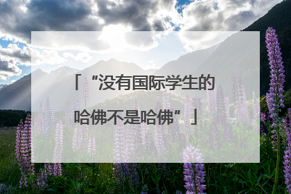 “没有国际学生的哈佛不是哈佛”