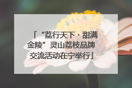 “荔行天下・甜满金陵”灵山荔枝品牌交流活动在宁举行