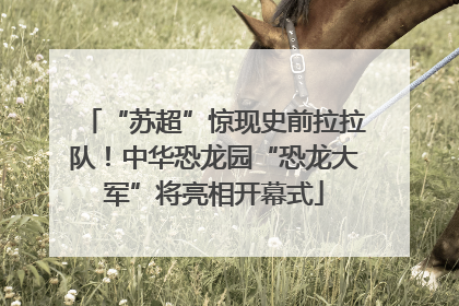 “苏超”惊现史前拉拉队！中华恐龙园“恐龙大军”将亮相开幕式