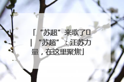 “苏超”来歌了⑪｜“苏超”：江苏力量，在这里聚焦