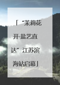 “茉莉花开·盐艺直达”江苏滨海站启幕