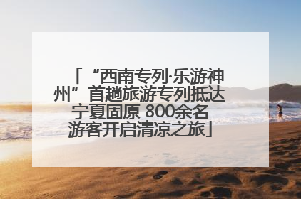 “西南专列·乐游神州”首趟旅游专列抵达宁夏固原 800余名游客开启清凉之旅