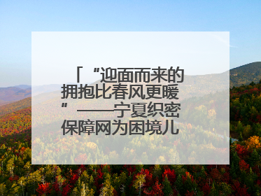 “迎面而来的拥抱比春风更暖”——宁夏织密保障网为困境儿童成长护航