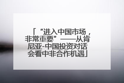 “进入中国市场，非常重要”——从肯尼亚-中国投资对话会看中非合作机遇