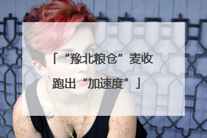 “豫北粮仓”麦收跑出“加速度”
