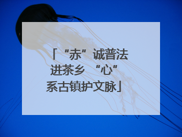 “赤”诚普法进茶乡 “心”系古镇护文脉