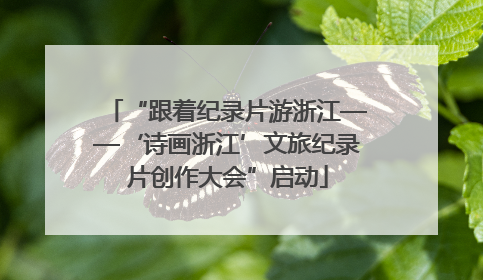 “跟着纪录片游浙江——‘诗画浙江’文旅纪录片创作大会”启动