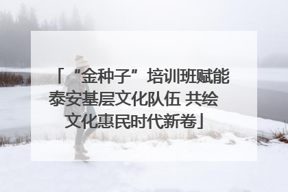 “金种子”培训班赋能泰安基层文化队伍 共绘文化惠民时代新卷