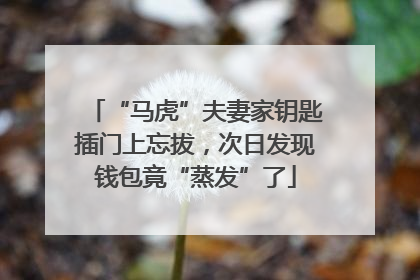 “马虎”夫妻家钥匙插门上忘拔，次日发现钱包竟“蒸发”了