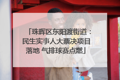 珠晖区东阳渡街道：民生实事人大票决项目落地 气排球赛点燃