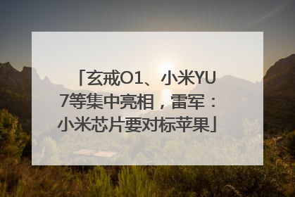 玄戒O1、小米YU7等集中亮相，雷军：小米芯片要对标苹果